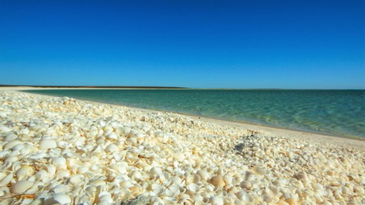 Shell beach in Austrailia